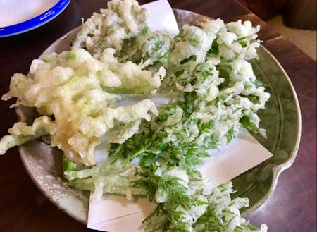 地元で採れた山菜の天ぷら