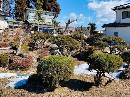 お試し住宅の広い庭園