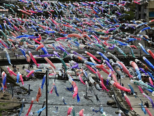 毎年4月より開催の杖立温泉こいのぼり祭り
