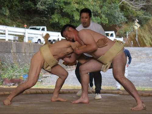 地域の伝統：相撲