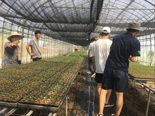 花を作っている農家さんへ案内しました。