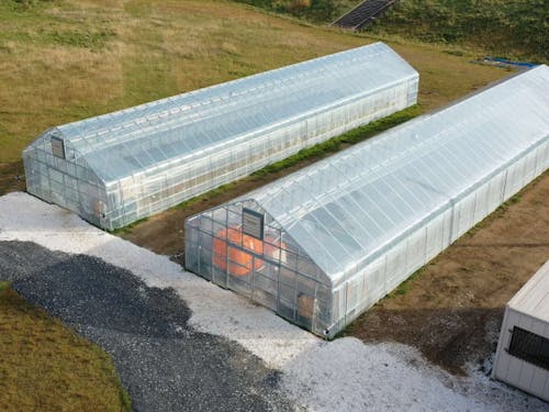 2020年10月に完成したばかりのビニールハウス