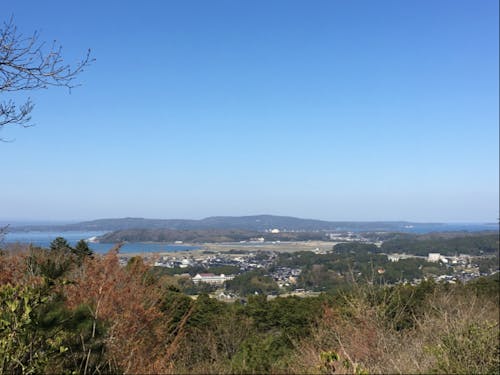 田鶴浜地区は水鳥たちの観察スポットとしても人気