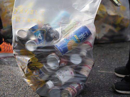 めちゃとったぞー!!