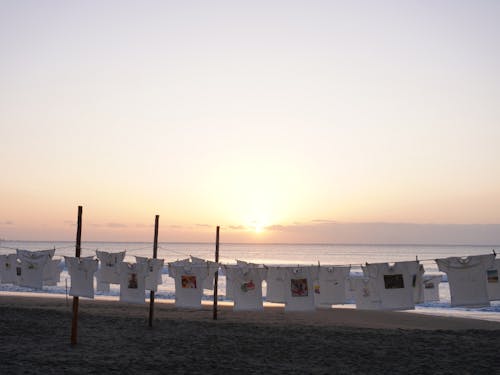 時間によって作品は趣を変える