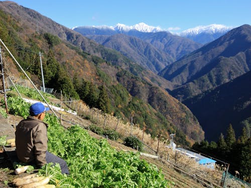 自然の中の暮らし、農ある暮らしのご相談も♪