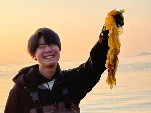 目の前の海岸で採れるワカメ