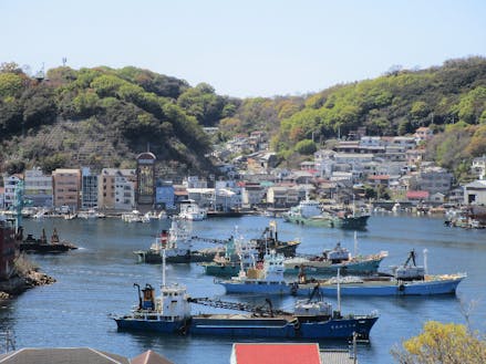 石材運搬を主とした海運業が盛んな家島の港では、石材運搬船（ガット船）を見ることができます。