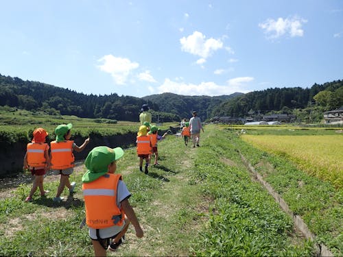 市内の保育所での身近な自然体験の企画・運営
