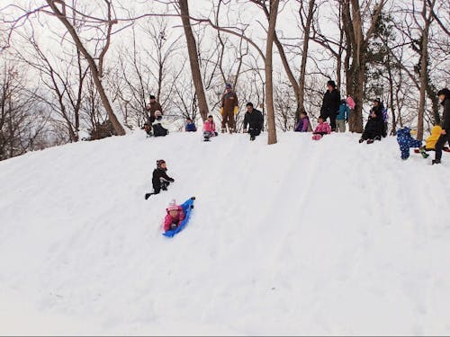 冬の里山体験での雪あそび