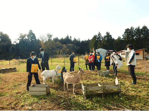 市内の学校と連携した探究学習の推進