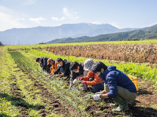 中央アルプスと南アルプスに囲まれた絶景で農業研修