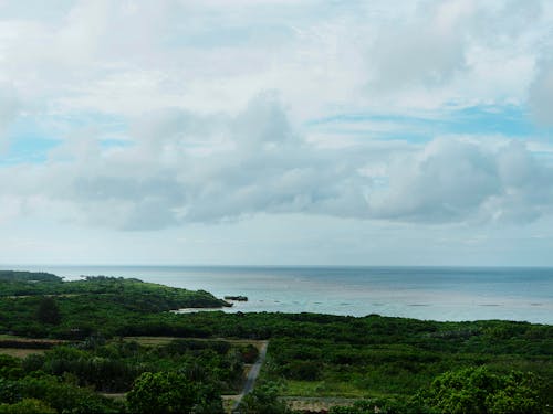 ホテルからの景観