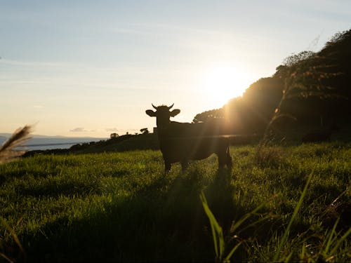 ホテル近くの景色②