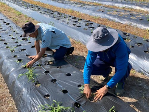 みんなで頑張りましょう!