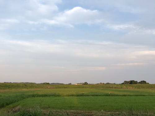 市の面積のほとんどが山か畑か田んぼです。空気が澄んでいるので夜空が綺麗!