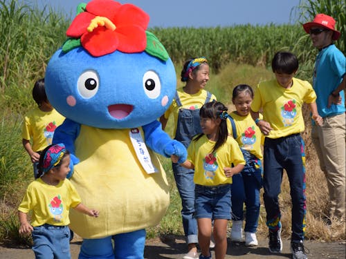 サトウキビ畑でお手伝い