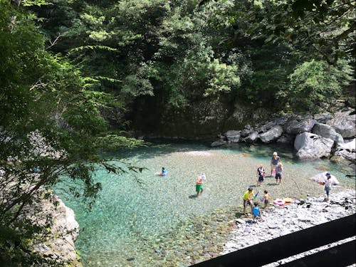 奇跡の清流“仁淀川”
