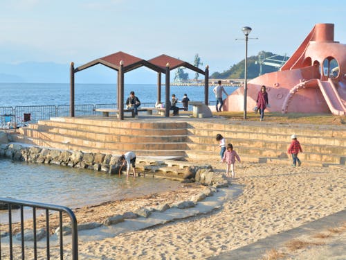 親海公園では水遊び(海水)が楽しめます
