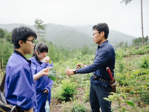 地域の森を舞台にした学びの風景