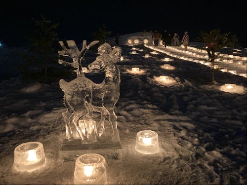 40年ほど前に下川の若者たちが、寒さを生かして作った「アイスキャンドル」を町中に飾るイベントを始めた。この町をなんとかもりあげたいという思いで作ったこのイベントは、今も変わらず続いている!