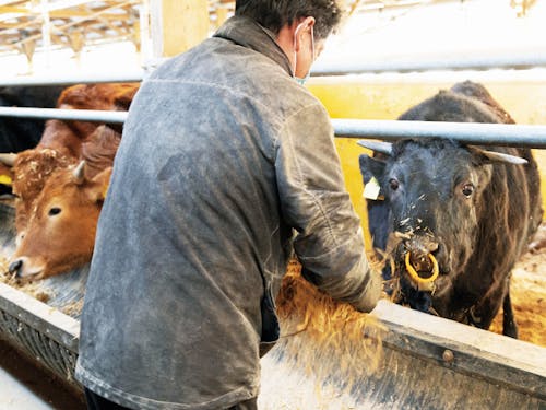 生産現場の様子②