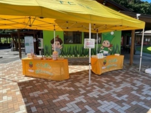 写真のようなブースでお待ちしています