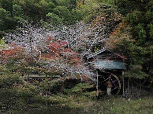 むかし田舎体験水車むら
