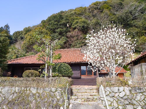 明木に地域おこし協力隊OBがレストランを開業しました！詳しくはこちらhttps://smout.jp/plans/2942