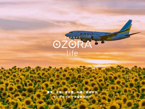 ワンフライトで大都市へ