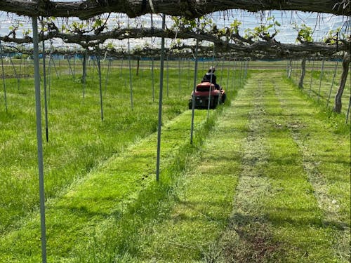 草刈や重機操作などもチャレンジできます!