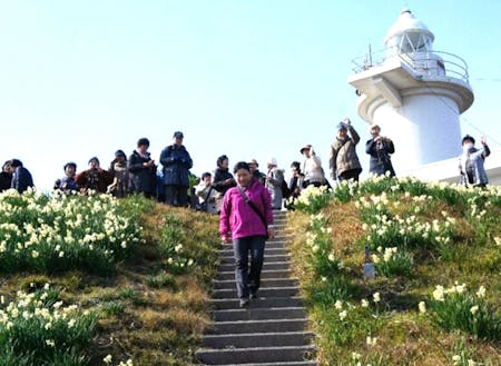 水仙と灯台ツアーの一幕。冬は多くの方が来島してくれます。