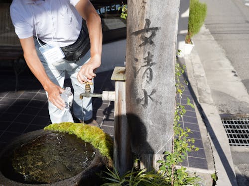 おいしい水の生まれる場所です