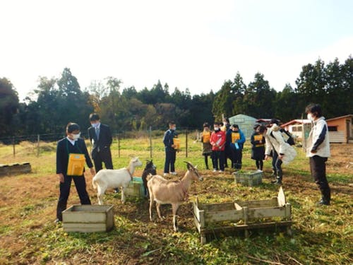 市内の学校でのSDGs学習(生き物と共生する農場の見学)