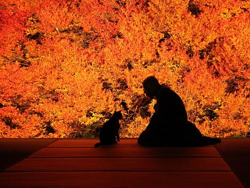 ドウダンツツジで有名な「安国寺」