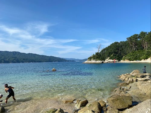 大槌の青い海。すぐ近くには山もある独特な地形。