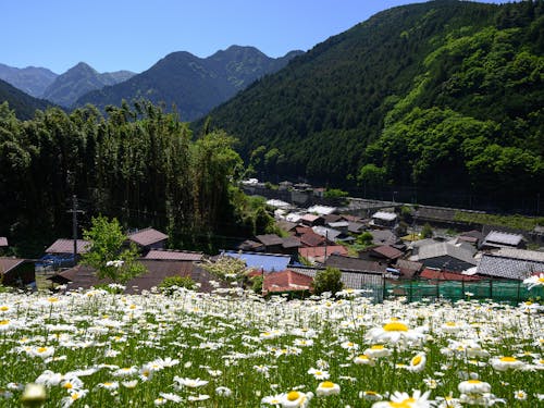 集落からの景色