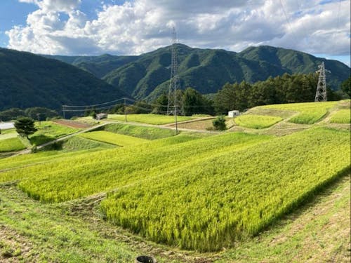 畔ののり面は急なので気をつけて！