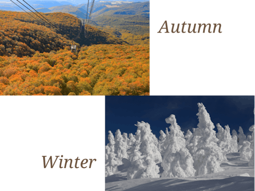 八甲田ロープウェー/八甲田山の樹氷