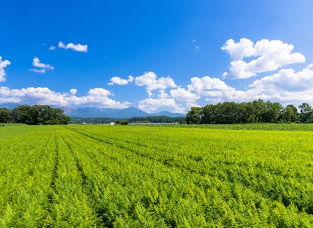 北海道で農業を始めたい人だって、一度に質問できるから効率よく情報収集できます