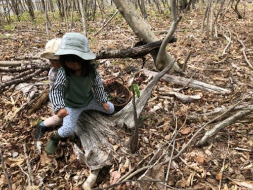 森には一つとして同じ形がなく、子どもたちはその様々な形を使い、見立て遊びをしています。この木は、大きな鳥に見えたようです。