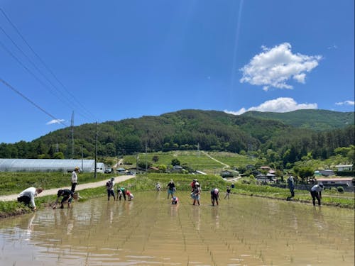 大自然の中での作業は「没頭できていい」という参加者さんからの感想も