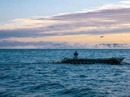 朝の竹野の海では円山川を霧が昇る幻想的な景色が望めます。
