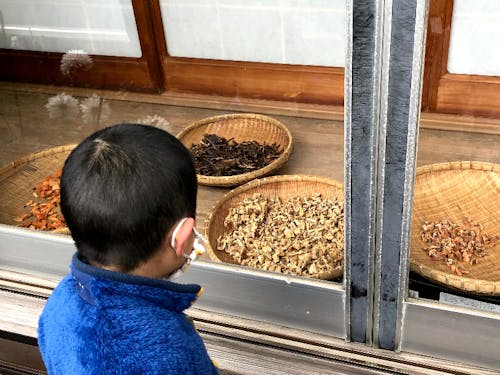 お子さんはもちろん、大人も勉強になる田舎暮らしです。季節が変わっていくのは想像以上にはやく、地元の人も「田舎暮らしは忙しいものね」とおっしゃってました。
