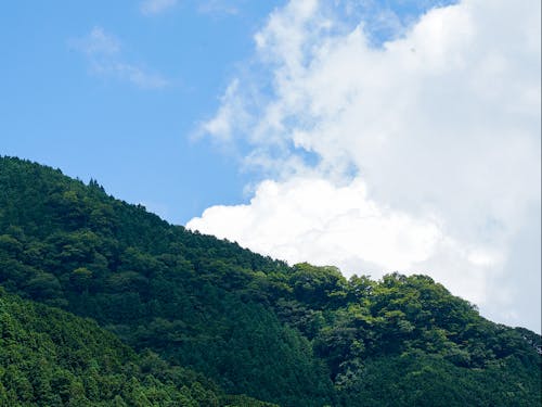 仕事の合間に見る景色で、ふっと心が落ち着いたりします