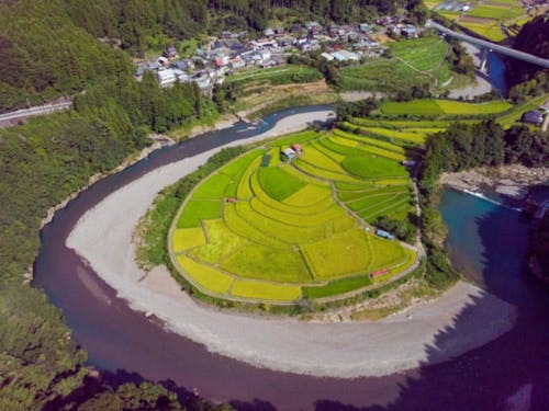 美しい棚田もある、農業が身近な環境です