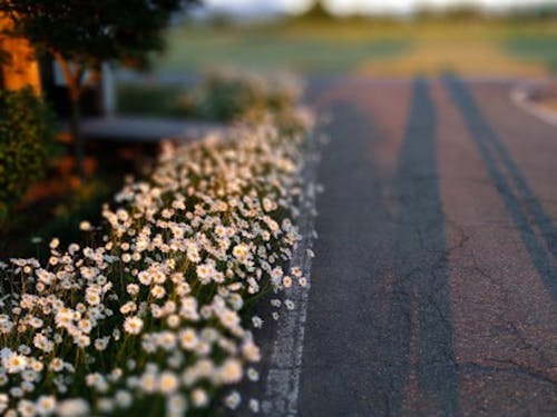 好きな場所のひとつ。自分へのご褒美、癒されたい時に足を運びます。