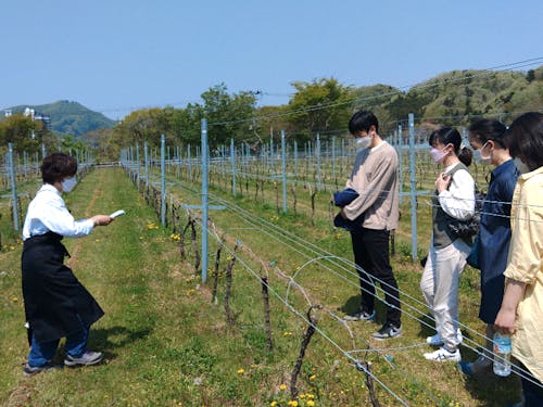 秋保ワイナリーへのまちあるきツアーなど、秋保温泉へご宿泊・日帰りでいらしゃる方へご案内