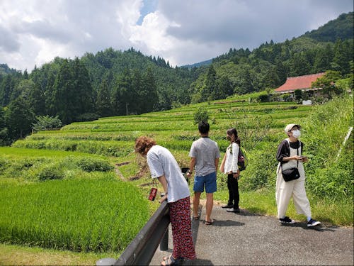 琵琶湖だけじゃない!素敵な田園風景!