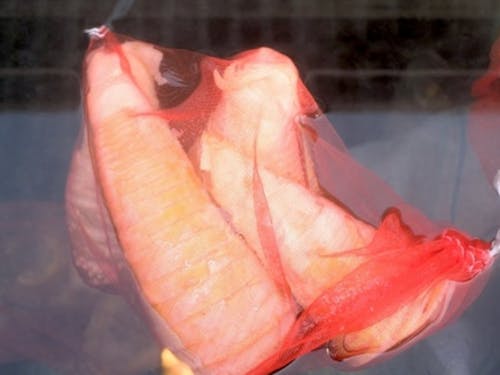 荒湯の湯壺 卵や山菜なども茹でられます